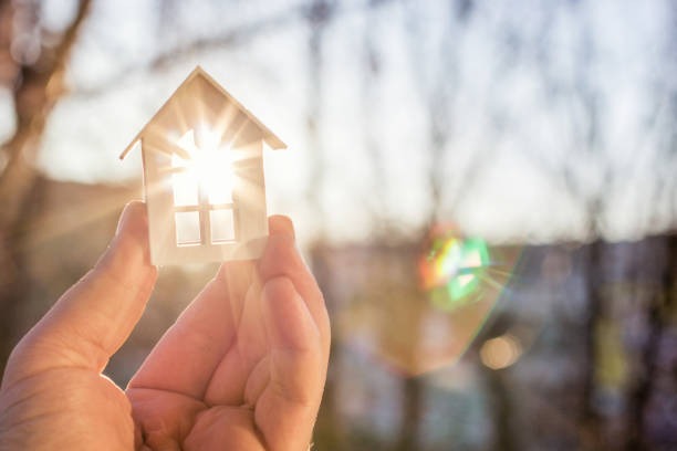 <strong>Que prévoit la loi sur l'assurance habitation locataire ?</strong>