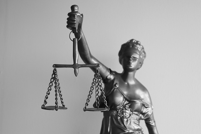Les initiatives internationales pour la garantie des droits civils
