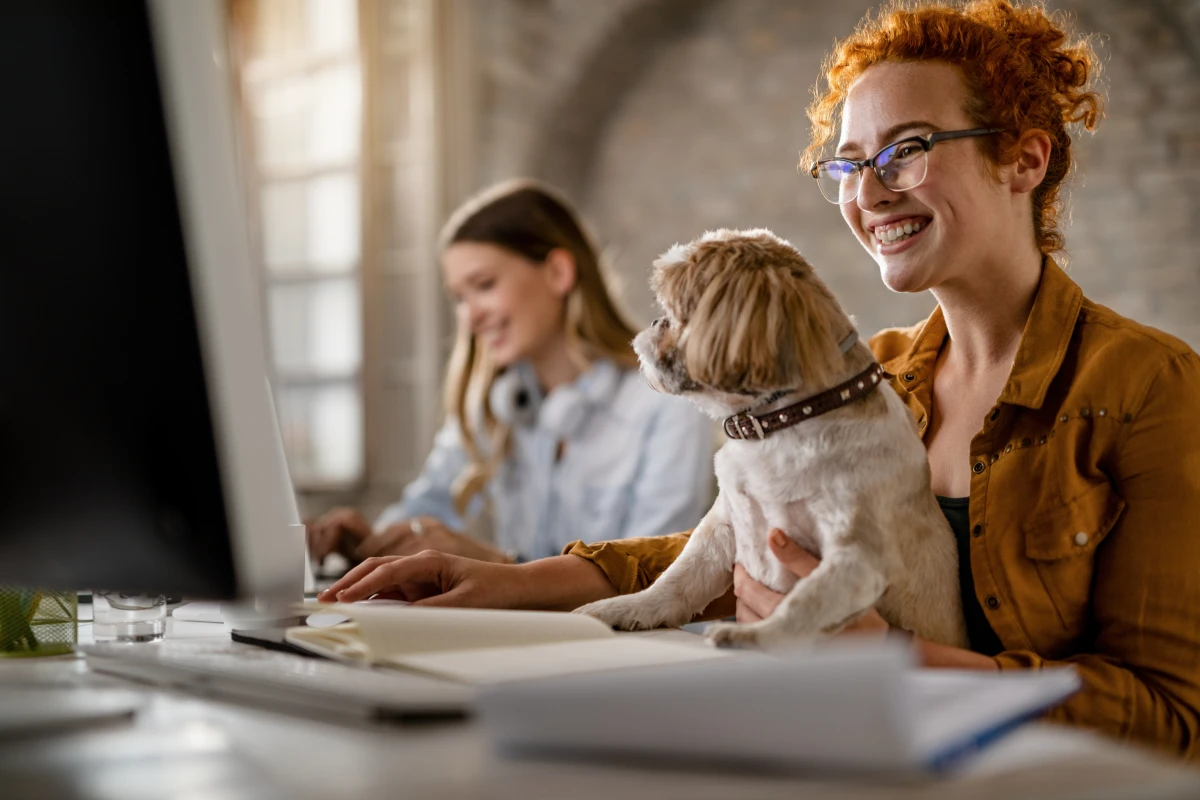 Divorce et animaux de compagnie : Qui garde Médor ?