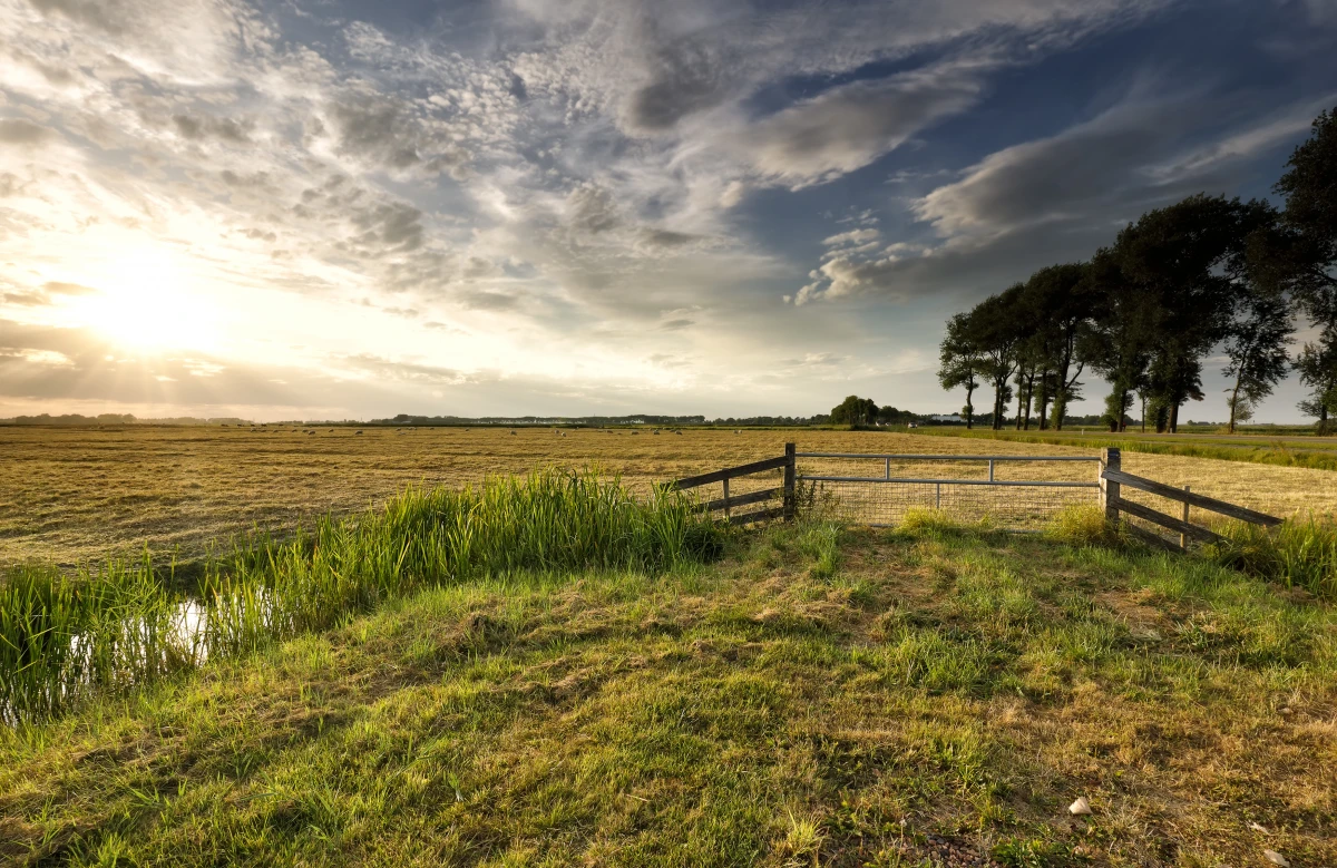 Comprendre et résoudre les litiges fonciers en zones agricoles : enjeux et solutions